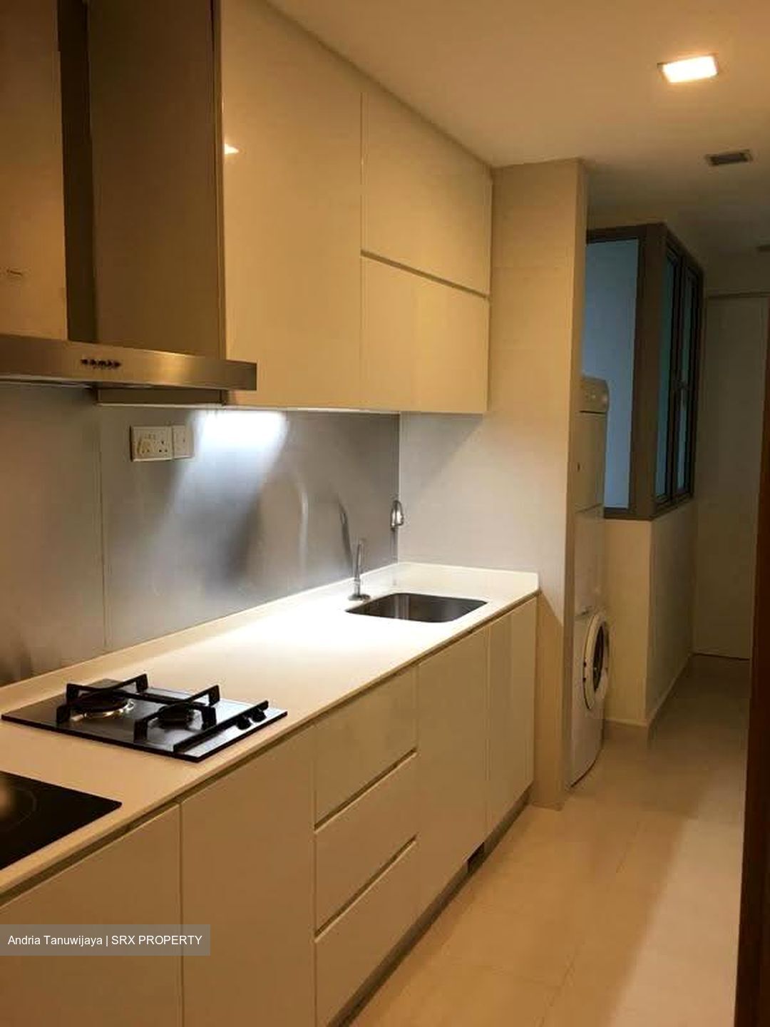 Park Infinia At Wee Nam (D11), Condominium #618163431